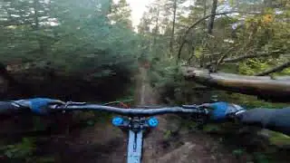 Top to bottom of bomber up Penrhiwgarreg woods (Abertillery woods)