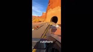 Driving, Saw Animals Playing&hellip; Then We Entered Another World 😲 | CutShortt #video #shorts