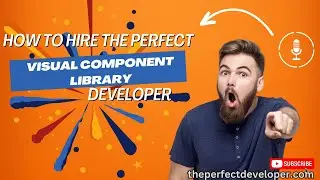 Mastering the Hiring Process for Visual Component Library  - The Perfect Developer Fast Guide