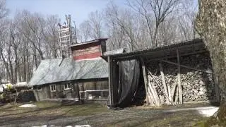 Меняющийся облик индустрии кленового сиропа в штате VT Vimeo HD 1080p 29 97