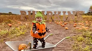 Pumpkin Picking, Kenyon Hall Farm - 14.10.22