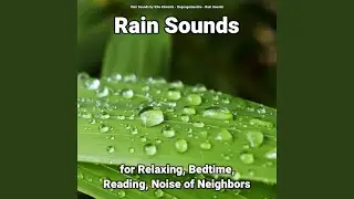 Exquisite Background Sounds