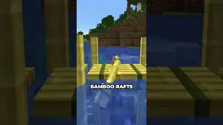 Bamboo raft bridge