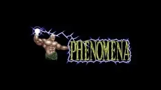 Amiga Demo : Obvious Disaster - Final / Phenomena (1991)