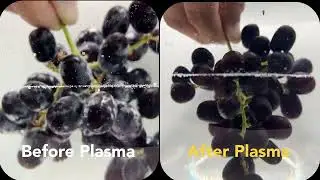 First In The World Plasma Food Detox Wellness Oven by Arthur Sun
