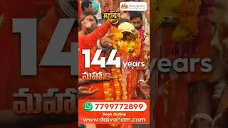 Maha Khumb Mela 2025  #khumbmela #mahakumbhmela2025 #mahadev #khumbhmela2025 #onlinepuja