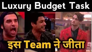 Luxury Budget Task | This team won | Big Boss 13