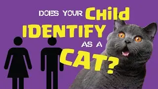 Is Your Child A Cat? Identifying As A Cat - Modern Psychology Analysis