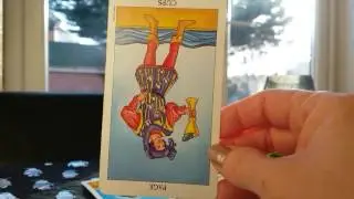 GEMINI SINGLES TAROT READING FOR JANUARY 2017