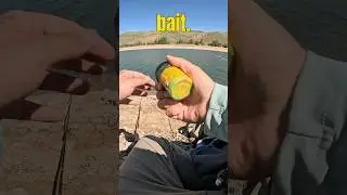 Как оснастить PowerBait для зарыбления форели. ПРОСТАЯ установка, которая работает!
