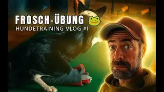 🐸 Hundetraining Vlog #1 &ndash; Die Frosch -&Uuml;bung f&uuml;r starke & flexible Hinterbeine!