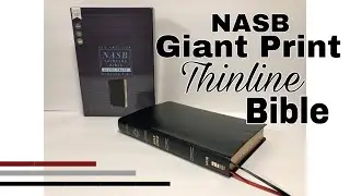 NASB Giant Print Thinline Bible Review
