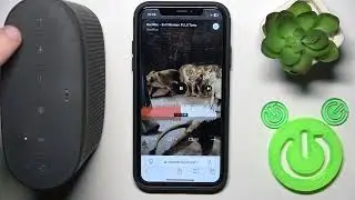 BOSE SOUNDLINK COLOR II &mdash; सभी नियंत्रण और इशारे