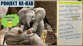 PROJECT RE-HAB