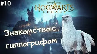 Hogwarts Legacy прохождение на русском #10