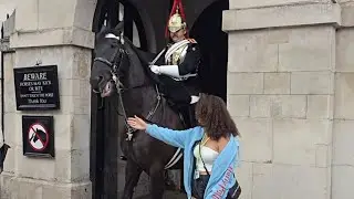 THE NERV OF THIS TOURIST #kingsguard 