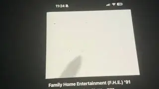 VeggieTales LarryBoy and the Rumor Weed/Family Home Entertainment (1999)