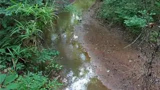 0  Gap Creek  Drive , Newborn GA 30056 - Real Estate - For Sale -