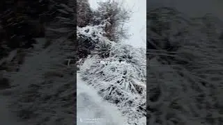 #shorts#shortvideo#snowfall#chamba#himachalpradesh#