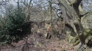 swithland woods drop