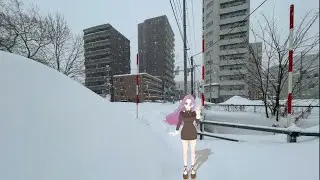 【北海道】豪雪で帰宅難民になったけど、北海道は超美しかった【2026.1月】