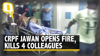 4 Killed, 3 Injured After CRPF Jawan Opens Fire at Colleagues in Chhattisgarh's Sukma | The Quint