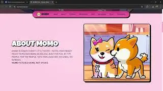 What is Momo (momocoin.space) ($MOMO) Token Coin | Review About $MOMO Token