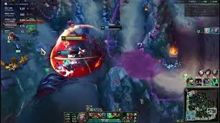 Highlights Of Viego Jungle,
