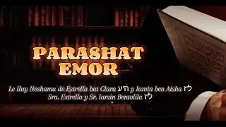 PARASHAT EMOR | OHEL SHIMON - Rab David Alter