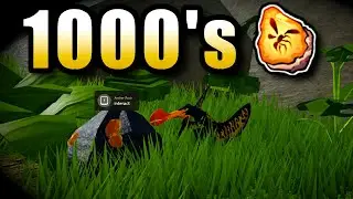 Best and Quickest Way For Amber | Dinosaur Simulator Roblox