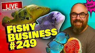 Friday Night Live! -  Fishy Business #249