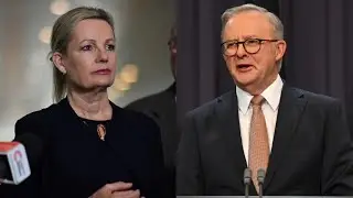 &lsquo;A gift for Anthony Albanese&rsquo;: Liberal leadership challenge &lsquo;inevitable&rsquo;