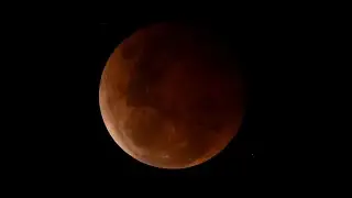 Australia set to view a supermoon next Tuesday