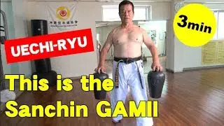Uechi-ryu Master 