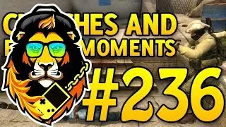 Hipster Lion! - CSGO Funny Moments and Clutches #236 - CAFM CS GO