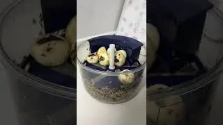 不僅能剝葡萄皮！去馬蹄皮也是輕輕鬆鬆！愛吃馬蹄人福音來咯~真的太方便啦！！！ #寶寶輔食 #廚房好物 #去皮機 #葡萄去皮機 #馬蹄去皮