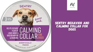 Sentry Behavior and Calming Collar for Dogs