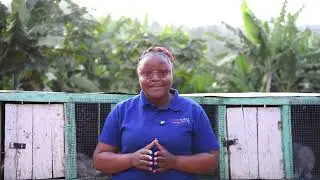 Rabbit Farming Explained | Best Practices for Healthy & Profitable Rabbits