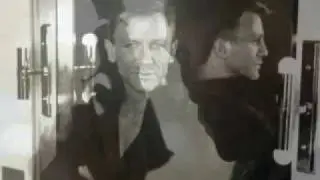 Daniel Craig ~ Halo