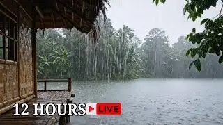 12 Hours Tropical Lake Rain Live 🌧️ Bamboo House Ambience for Deep Sleep, Study & Relax