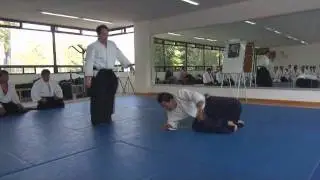 Aikido Master Michael Moreno 6th Dan Aikikai