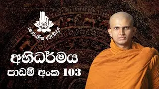 අභිධර්මය 103 - මරණාසන්න චිත්ත වීථි - හය වන කොටස | 2023-07-29 | Abhidharma Lesson 103