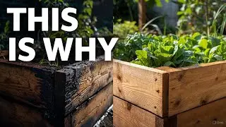 Stop Rebuilding Raised Beds: How to Prevent Wood Rot for 10+ Years
