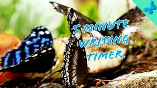 5 Min Butteryfly Writing Sprint Timer | Vlogmas Day 20 | Authortube
