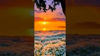 Reflect. Reset. Rise #motivational #inspirational #reflect