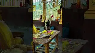 ##vettrivel##murugaa##kandhanykku##arohara###