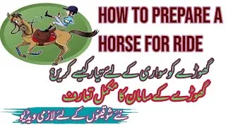 How to prepare a horse for a ride | How to put a saddle | Informative Video Specially For Beginners