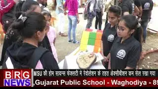 MSU की home science faculty में revolation के तहत exhibition कम sale रखा गया BRG NEWS