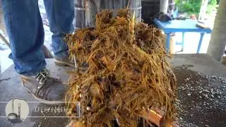 Artisanal Mezcal Process Part V - Distillation