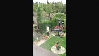 Laser Pen Prank